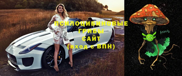 Альфа ПВП Алзамай