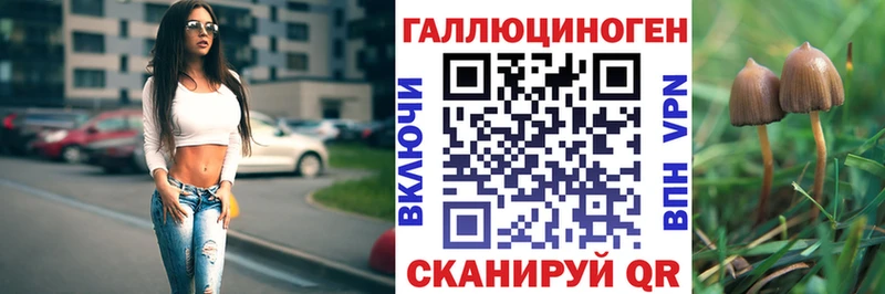 omg зеркало  цена наркотик  Переславль-Залесский  Галлюциногенные грибы Psilocybe 