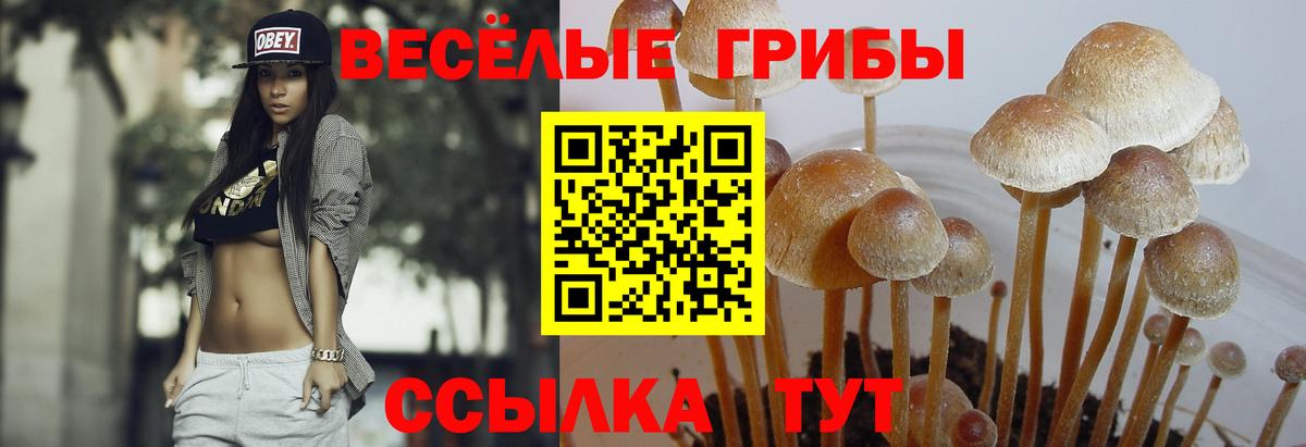Псилоцибиновые грибы Magic Shrooms  Вход с VPN  Переславль-Залесский 